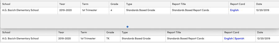 Report Card Spanish Information