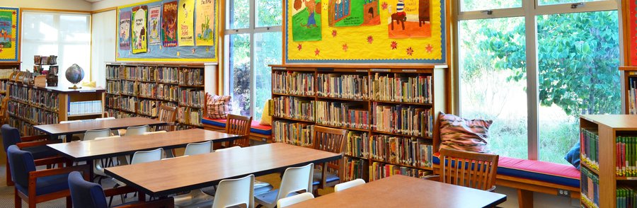 A view of the Bacich library, with bookshelves in the foreground and trees visible through windows.