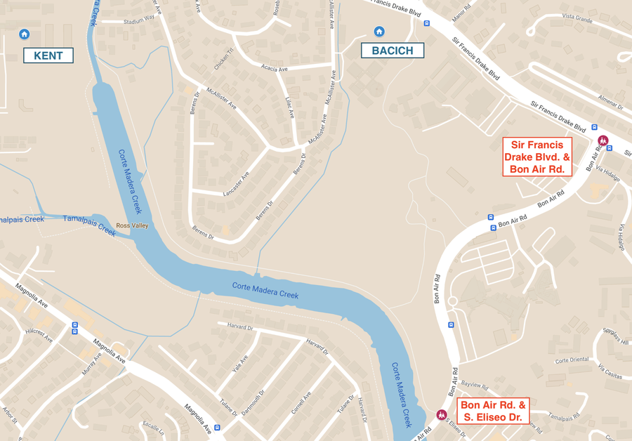 TAM Proposed Crossing Guard Elimination Map