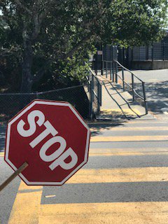 Virtual Crossing Guard